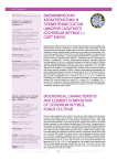 Биохимическая характеристика и элементный состав цикория салатного (Cichorium intybus L.) сорт конус