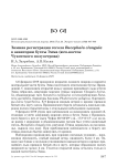 Зимняя регистрация гоголя Bucephala clangula в акватории бухты Эмма (юго-восток Чукотского полуострова)