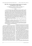 MIDV-500: a dataset for identity document analysis and recognition on mobile devices in video stream