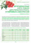 Детерминантные сорта томата для открытого грунта, устойчивые к экострессам