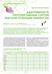 Адаптивность перспективных сортов фасоли селекции ВНИИССОК