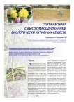 Сорта чеснока с высоким содержанием биологически активных веществ