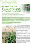 Новый объект стандартизации: Лук Афлатунский