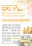 Разнообразие овощных тыкв: кабачок и патиссон