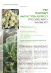 Кто поможет вырастить капусту российскому фермеру?