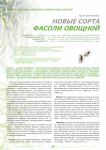 Новые сорта фасоли овощной