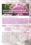 Капуста декоративная - знакомая «Незнакомка»