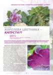 Королева цветника - капуста?!