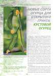 Новые сорта огурца для открытого грунта: кустовой огурец