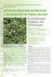 Использование мужской стерильности типа OGURA в селекции редиса на гетерозис