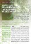 Морфология разнокачественности семян овощных зонтичных культур, обусловленная местом формирования на материнском растении
