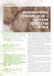 Вниманию луководов - черная плесень лука