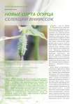 Новые сорта огурца селекции ВНИИССОК