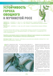 Устойчивость гороха овощного к мучнистой росе