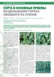 Сорта и основные приемы возделывания гороха овощного на Кубани