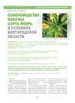 Семеноводство кабачка сорта якорь в условиях Белгородской области