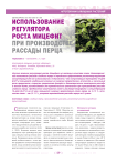 Использование регулятора роста МИЦЕФИТ при производстве рассады перца