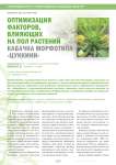 Оптимизация факторов, влияющих на пол растений кабачка морфотипа «Цуккини»
