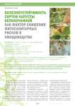 Болезнеустойчивость сортов капусты белокочанной как фактор снижения фитосанитарных рисков в овощеводстве