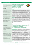 Факторы, определяющие развитие Phytophthora infestans на томате в открытом грунте