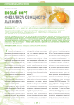 Новый сорт физалиса овощного лакомка