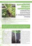 Выращивание овощных корнеплодов семейства капустные в защищенном грунте