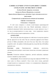 Клиника и лечение COVID-19 в домашних условиях