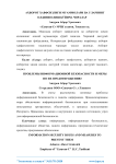 Проблемы информационной безопасности и меры по их предотвращению