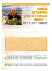 Новая культура для салатных линий - репа листовая