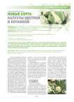 Новые сорта капусты цветной и кочанной