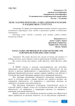 Цели, задачи и программа аудита доходов и расходов в холдинговых структурах