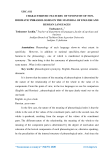 Characteristic features of synonymy of non-idiomatic phraseologies on the material of English and Russian languages