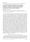 Гоголь Bucephala clangula на "холодной" зимовке в истоке и верхнем течении реки Ангары: изменение соотношения полов в результате потепления климата