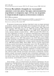 Гоголь Bucephala clangula на "холодной" зимовке в истоке реки Ангары: интенсивность кормёжки и поправка при учётах на ныряние в современный период потепления климата