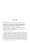 Гнездование клинтуха Columba oenas в опоре линии электропередачи в Санкт-Петербурге