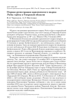 Первая регистрация красноносого нырка Netta rufina в Тверской области