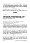 Встреча волчка Ixobrychus minutus на южном берегу Финского залива в Большой Ижоре (Ленинградская область)