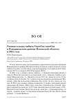 Ранняя кладка чибиса Vanellus vanellus в Новоржевском районе Псковской области в 2021 году