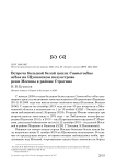 Встреча большой белой цапли Casmerodius albus на Щукинском полуострове реки Москвы в районе Строгино