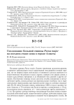 Гнездование большой синицы Parus major на восьмом этаже дома в городе Алматы