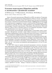 Бледная пересмешка Hippolais pallida в заповеднике «Дунайские плавни»