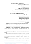 Место человека в обществе