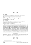 Зимняя встреча водяного пастушка rallus aquaticus в северных отрогах джунгарского алатау