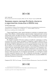 Зимовка серого снегиря pyrrhula cineracea в окрестностях алма-аты в 1953/54 году