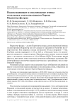 Водоплавающие и околоводные птицы отдельных участков южного берега варангер-фьорда