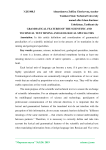 Grammatical features of the scientific and technical text mining and geological specialties