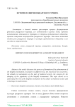 История развития рыцарского турнира
