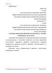 Оптимизация контейнерных перевозок на основе принципов логистики