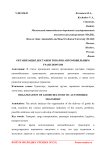 Организация доставки товаров автомобильным транспортом