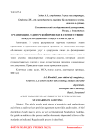 Организация аудиторской проверки в соответствии с международными стандартами аудита